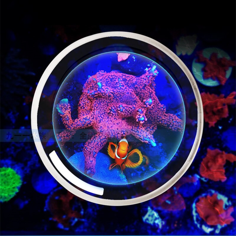 Unterwasser glas Unterseite Tafel korallen fisch beobachten linse foto Aquarium Marine Riff Panzer SPS LPS Korallen lupe