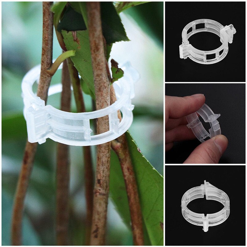 Anillos de fijación para plantas huerto de tomate para enrejado, herramienta para invernadero, 50 uds, suministros de jardín, jaulas para plantas, soportes nuevos: B