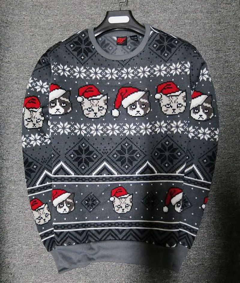 Pull homme automne hiver dessin animé noël sweat hommes pull polaire flocon de neige Animal gris: XL