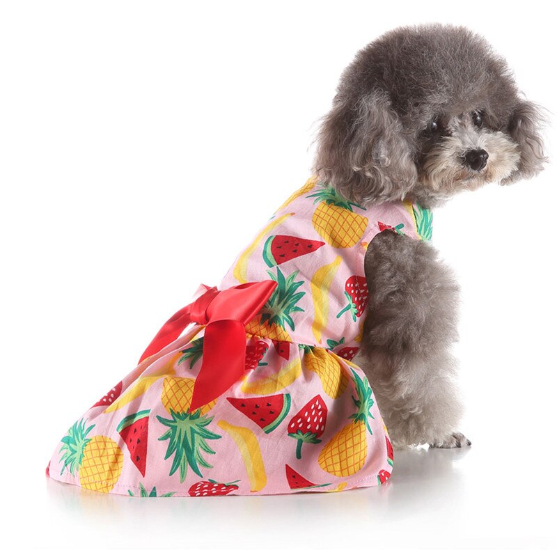 Pet Spring And Summer Fine Fruit Print Dog Costumes Pet Dog Skirt Pet Dresses For Small Large Dog Bubble Skirt Stripe Lace A1: XS