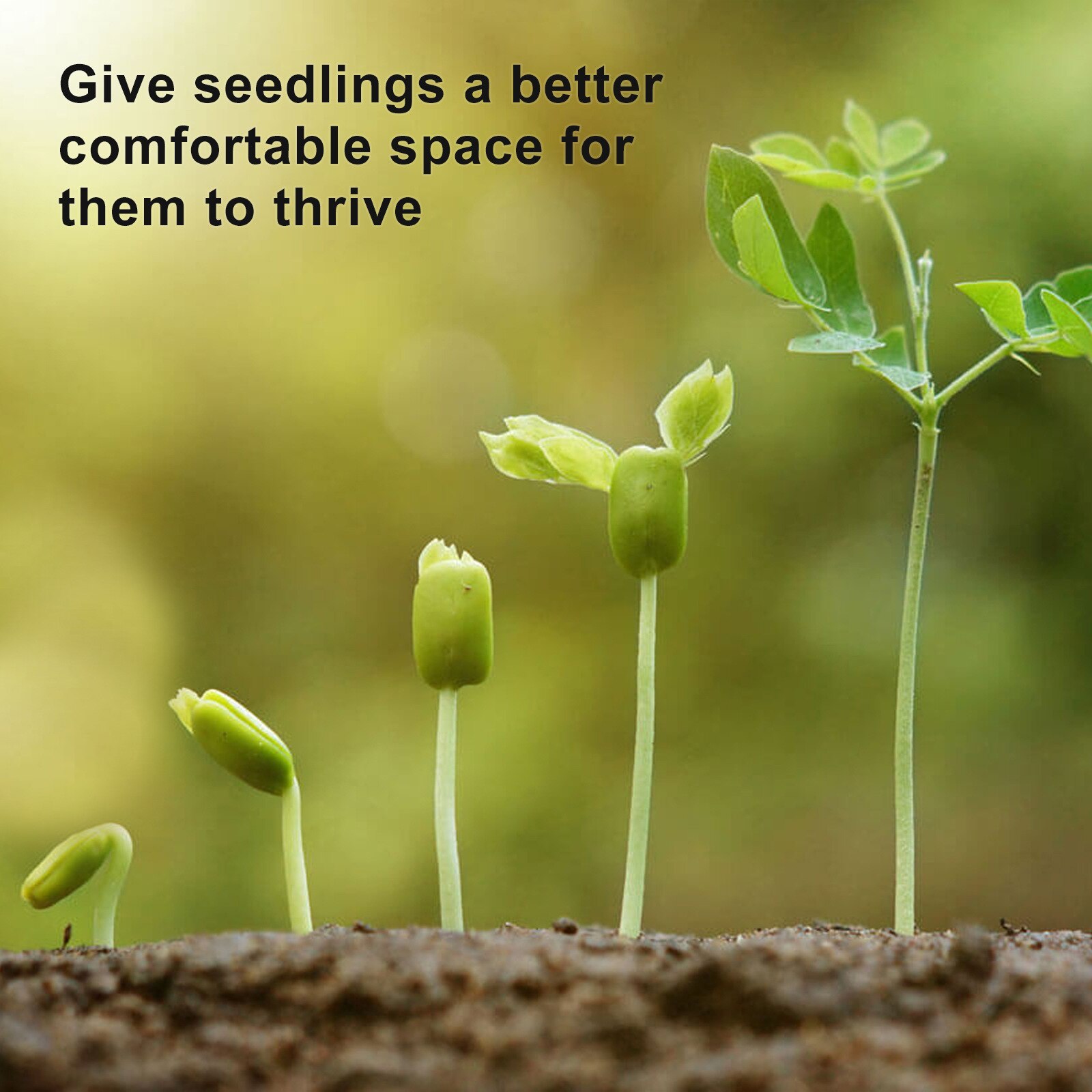 12 Hole Breathable Seedling Box Agricultural Planting Transparent Seedling Set Gardening Hydroponic Pot