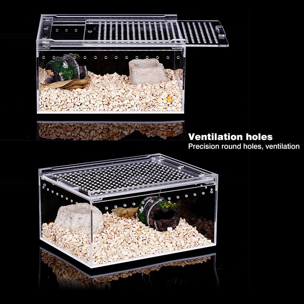 tanque para reptiles insectos arañas tortuga lagarto acrílico transparente caja de cría Vivarium tapa reptil mascota producto terrario
