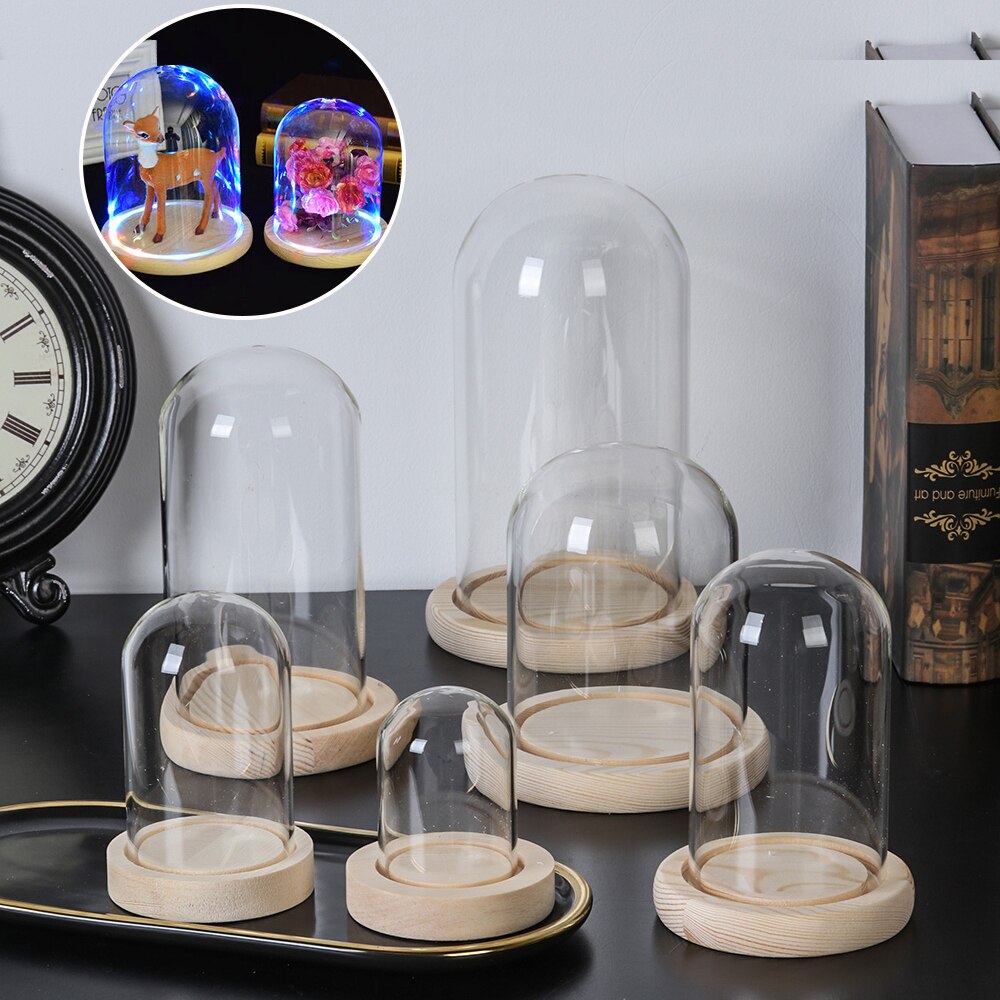 Bouteille de Terrarium avec Base en bois, couvercle anti-poussière en acrylique, Cloche en verre, présentoir Transparent, boîte à fleurs immortelles
