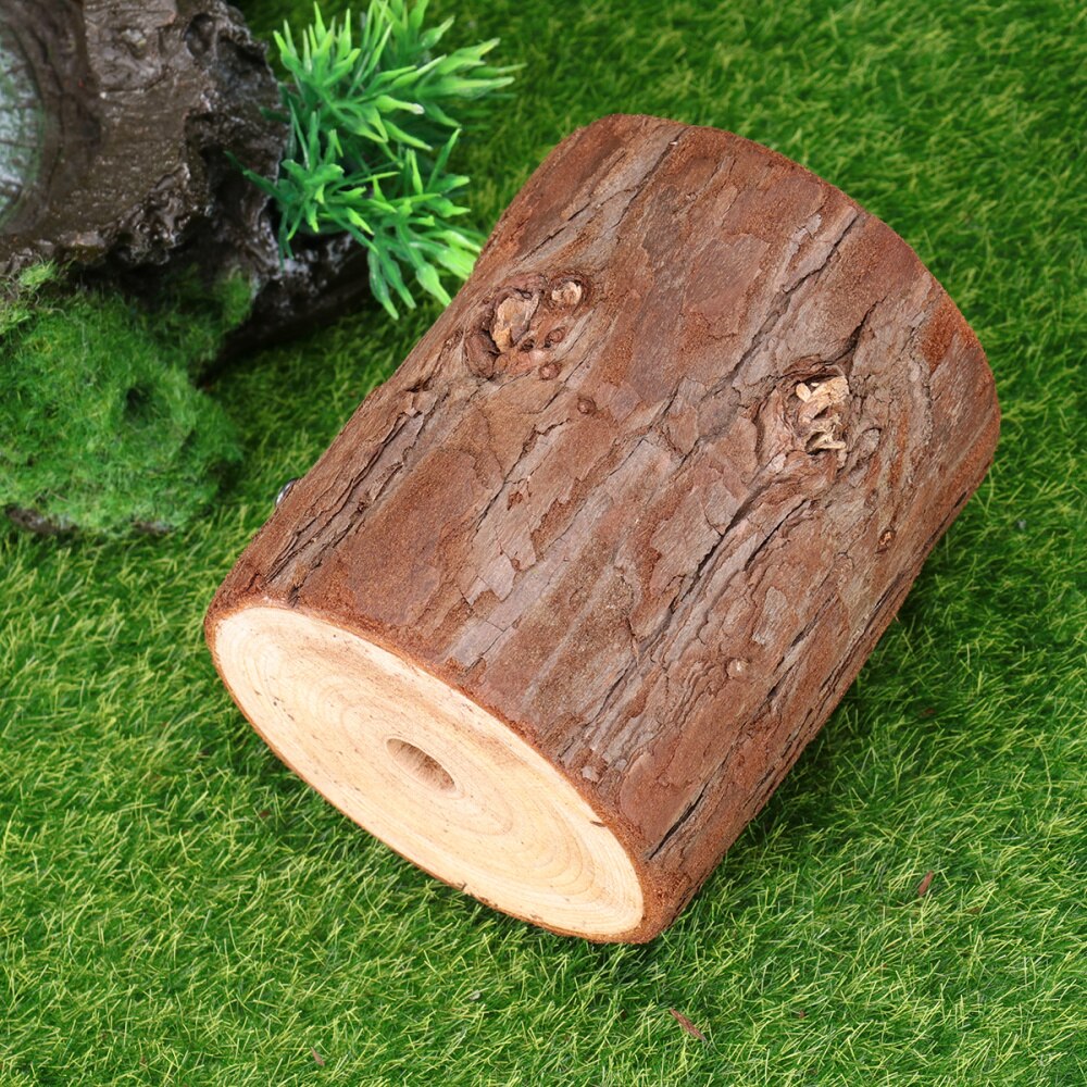 Souche en bois créative tenture murale artificielle fleur étagère salon jardin balcon rond plante support support-taille