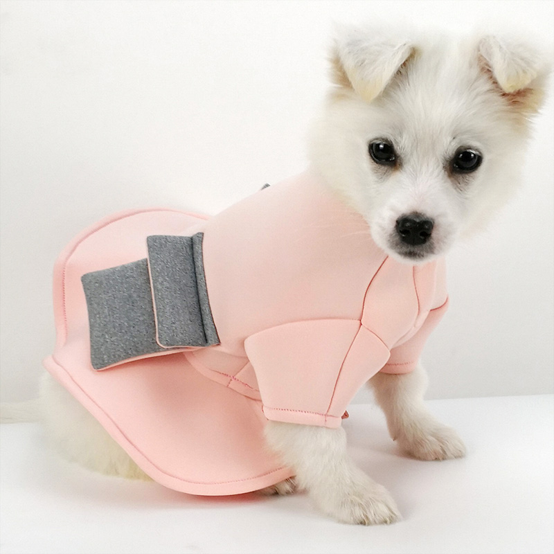 Zomer Kleine Hond Trouwjurk Rok Huisdier Kleding Prinses Jurk voor Chihuahua Yorkie Lente Kat Kleding voor Meisjes