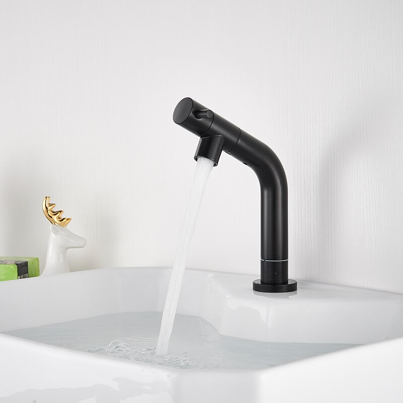 Wastafelkraan uittrekbaar zwart / geborsteld alleen koud water terrasinstallatie enkel gat enkele hendel badkamer keuken