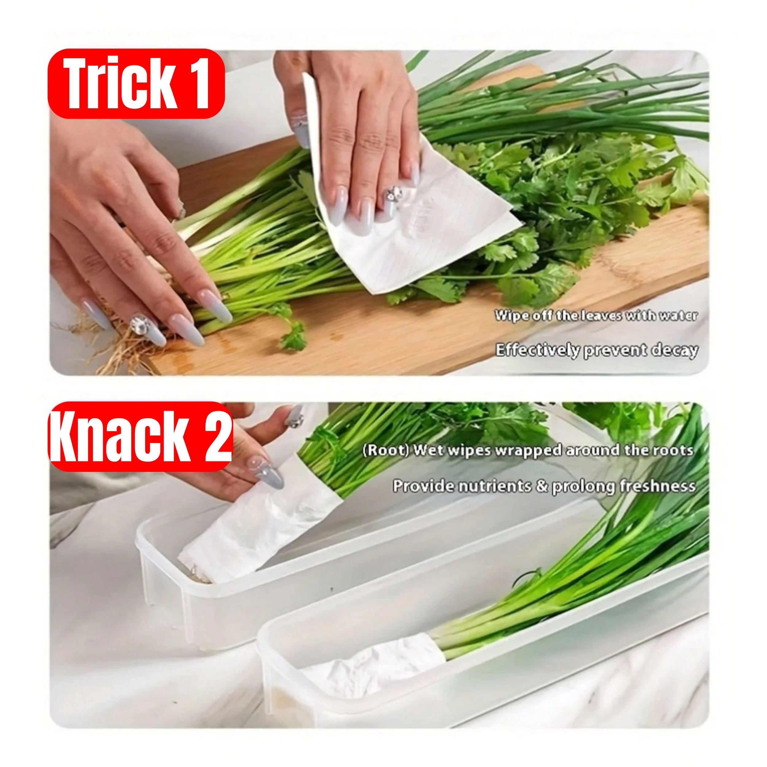 Cajas de almacenamiento para refrigerador con tapa, caja de plástico para mantenimiento fresco, cebollas de cocina, huevos Cilantro, contenedor sellado de fideos, 1/4 Uds.