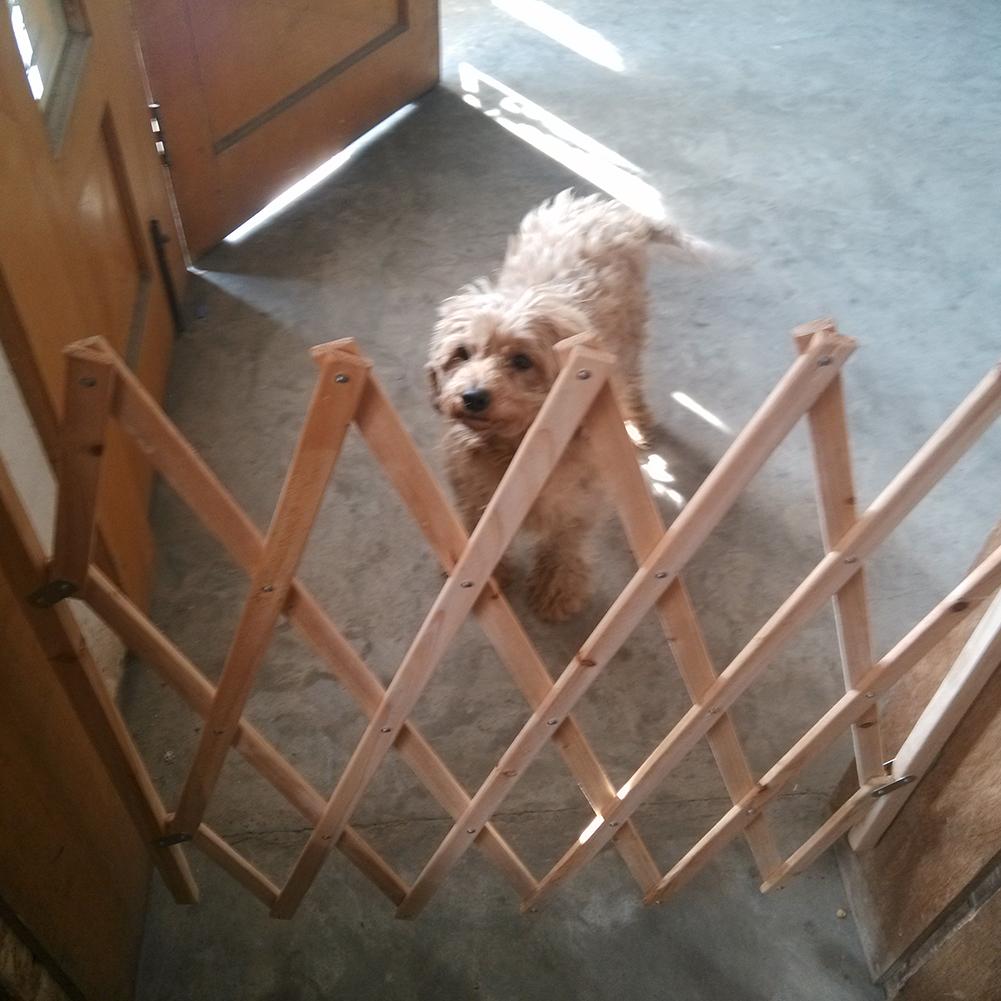 Para Puerta para mascotas cerca de valla de madera perro retráctil puerta corredera bebé mascota perro seguridad puerta mascotas aislado cerca recinto perro de seguridad