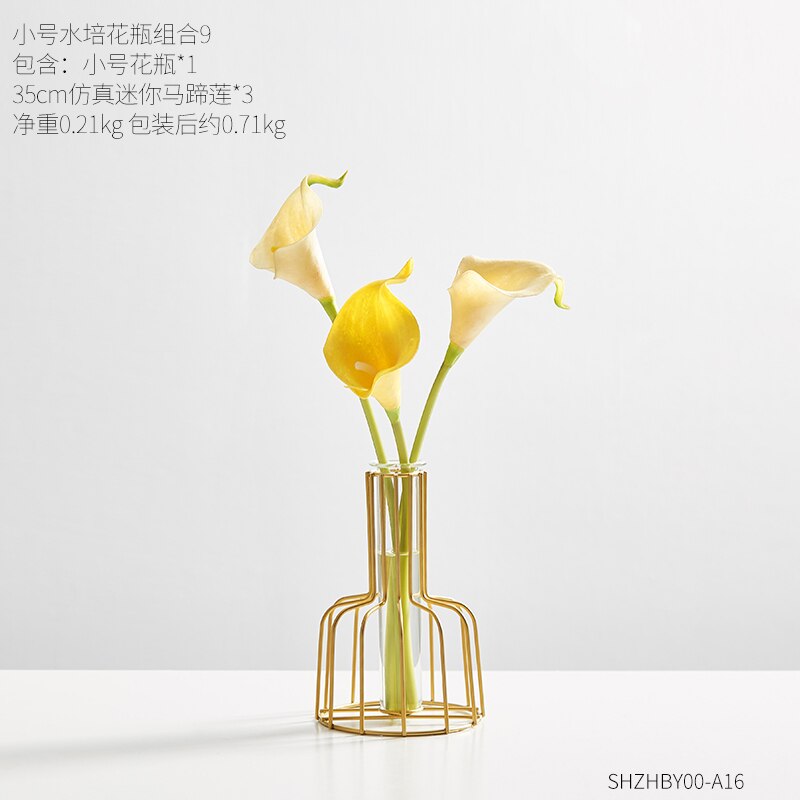 Transparante hydrocultuur glazen vaas decoratie thuis scandinavische gouden vaas vazen voor bloemen klein terrarium woonkamer decoratie: N