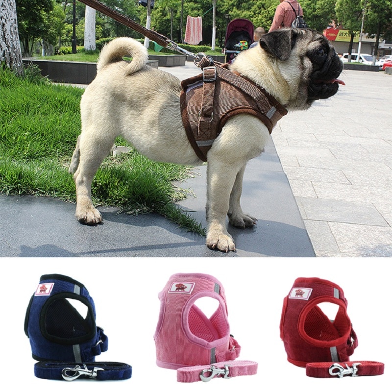 Verstelbare Hond Harnassen Vest Geen Pull Chihuahua Puppy Kat Harness Leash Set Voor Kleine Middelgrote Honden Warm Hond Wandelen levert