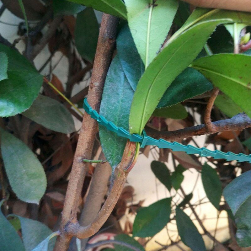 Have træ klatring støtte plast justerbar genanvendelig plante kabelbindere haveværktøj 17 x 0.7cm 50 stk selvlåsende