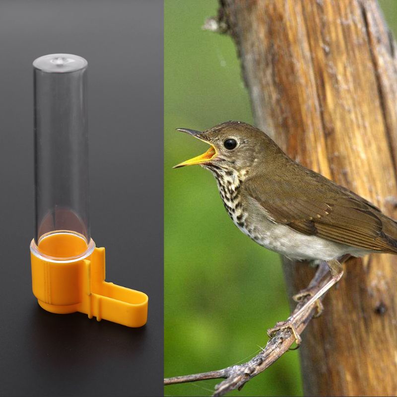 Voeder-en Drinkfontein Parkiet - Vogel - Grijs