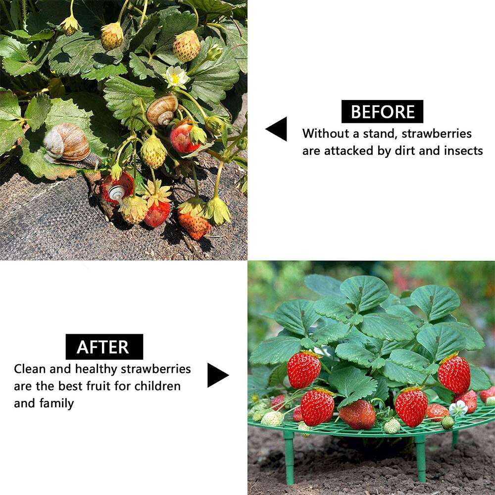 1PC Strawberry Plant Support Strawberry Growing Frame Holder Green Round Climbing strawberry plants Tool for Strawberry Planting
