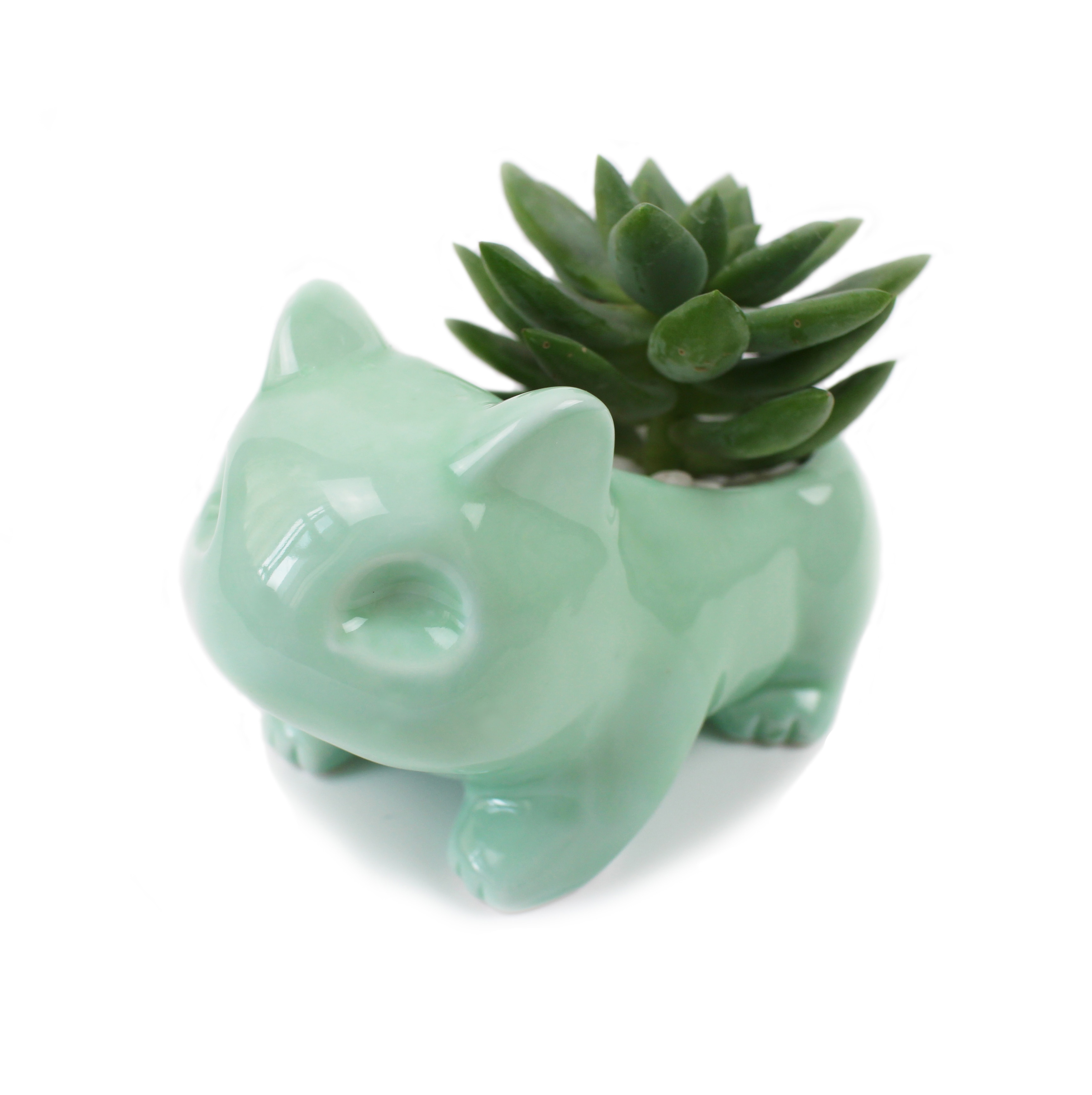 Kawaii Ceramic Flowerpot Succulent Planter Cute Green Plants Flower Pot with Hole For