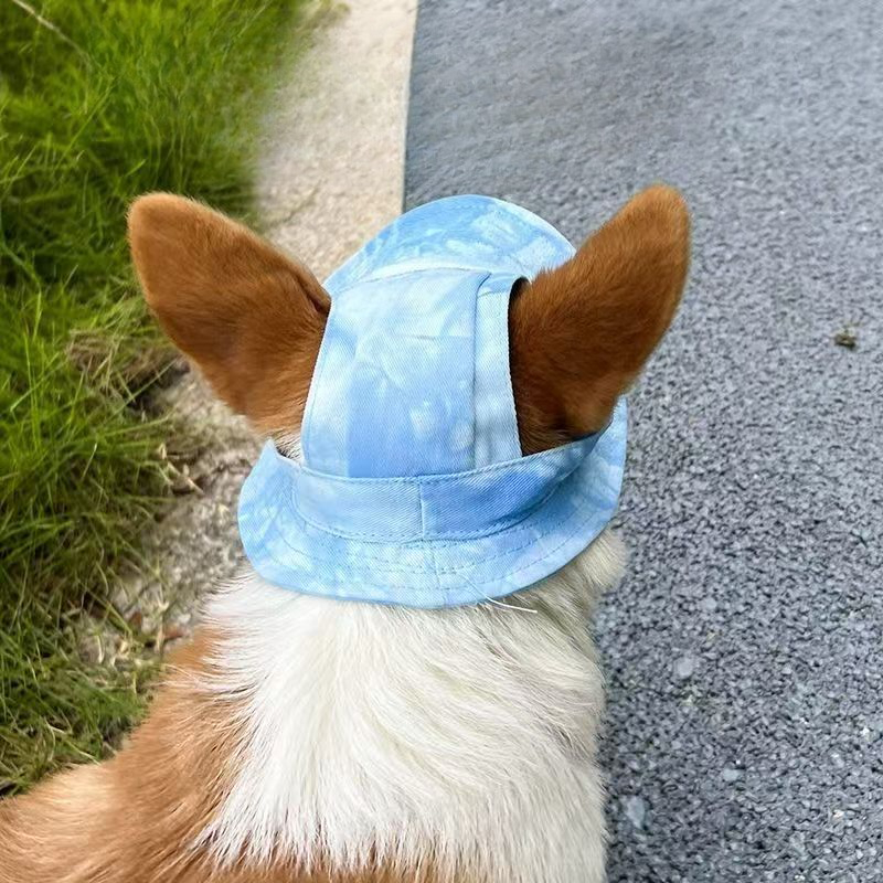 Lille hundekattehatte cowboyhat med ørehuller lille kæledyrs fødselsdagsfest kostume kattehovedbeklædning hvalphund killinghat chihuahua kasket
