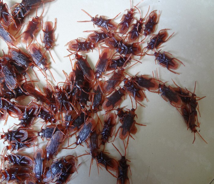 Aprilskämt leksaker knepigt hel människa hem kackerlacka simulering mört läskiga insekter