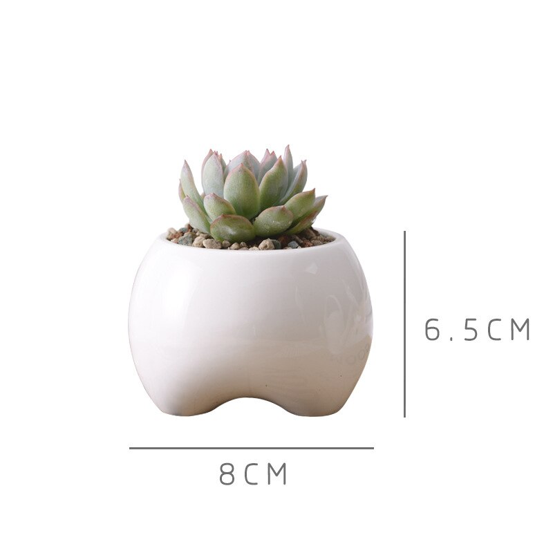 Set Van 2 Tand Vorm Bloempotten Witte Keramische Planter Tanden Mini Desktop Succulente Planter Potten (Zonder Planten)