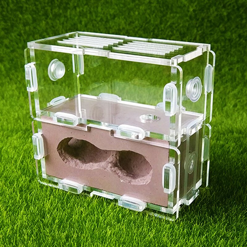 Square Acrylic Ant Plaster Nest Transparent Ant Farm Villa Insect Ornament Box: Brown