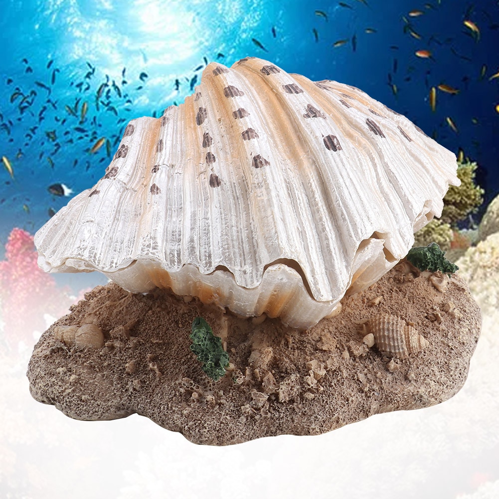 Barboteur en perles de coquillage pour Aquarium, ornement artificiel pour faire des bulles d&#39;air en corail