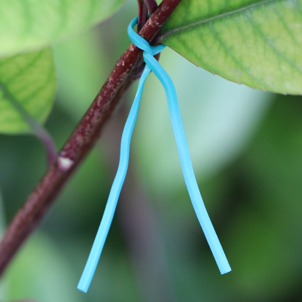 Câble torsadé de jardin en plastique, 10/12/15/20CM, cordon de Support de plante, de vigne grimpante, Ligature, fil d&#39;alimentation fixe multifonction