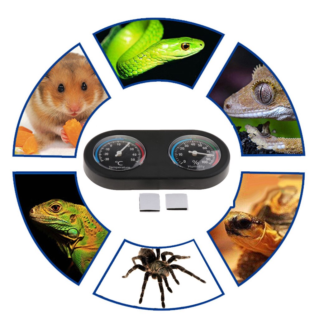 Thermomètre et hygromètre pour Reptile, lézard Gecko, araignée, léopard, serpent, tortue