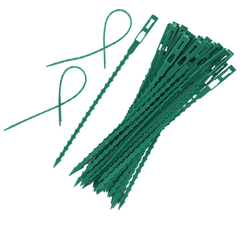 50 stk fiskebein banding hage wrap drivhus lianer plante potte vinstokker bundet verktøy plante støtte stropping spenne faste stropper klips