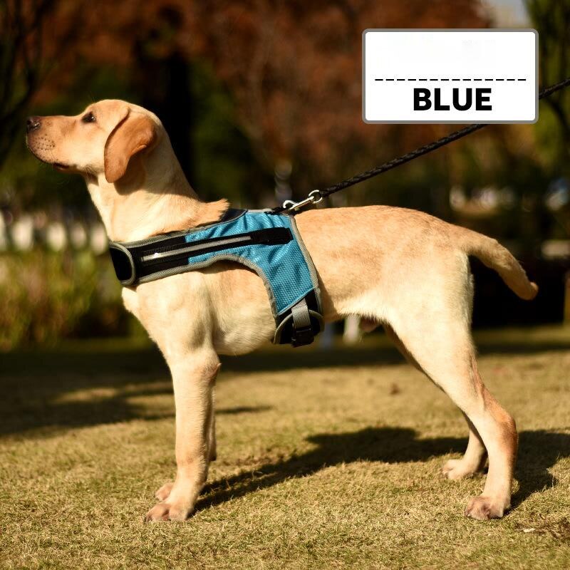 Led -valoiset koiran valjaat sytyttävät koiran rintahihnan liivin lemmikkieläinten turvallisuutta heijastavat valjaat kaulus lemmikkiliivi husky -paimenen labradorille: Sininen / S