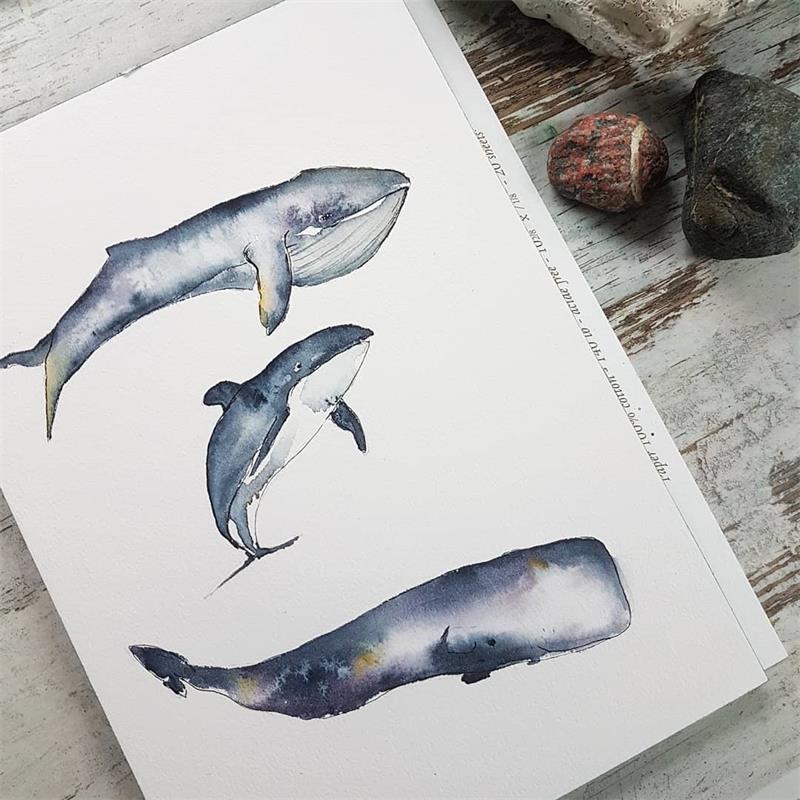 Whale Transparent Clear Stamps Silicone Seal for D... – Grandado