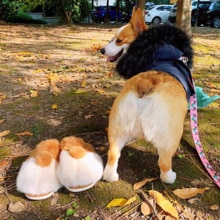 POSEE Original Corgi Butt Slippers Christmas for Girlfriend Fluffy Men Cute Faux Fur Warm Sandals for Women Pet Bed Pillow