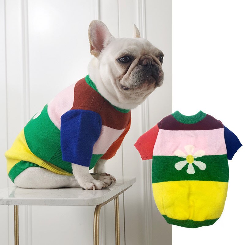 Stretch hund sweater frakke efterår vinter hundetøj puddel bichon schnauzer mops fransk bulldog tøj strik tøj mops tøj