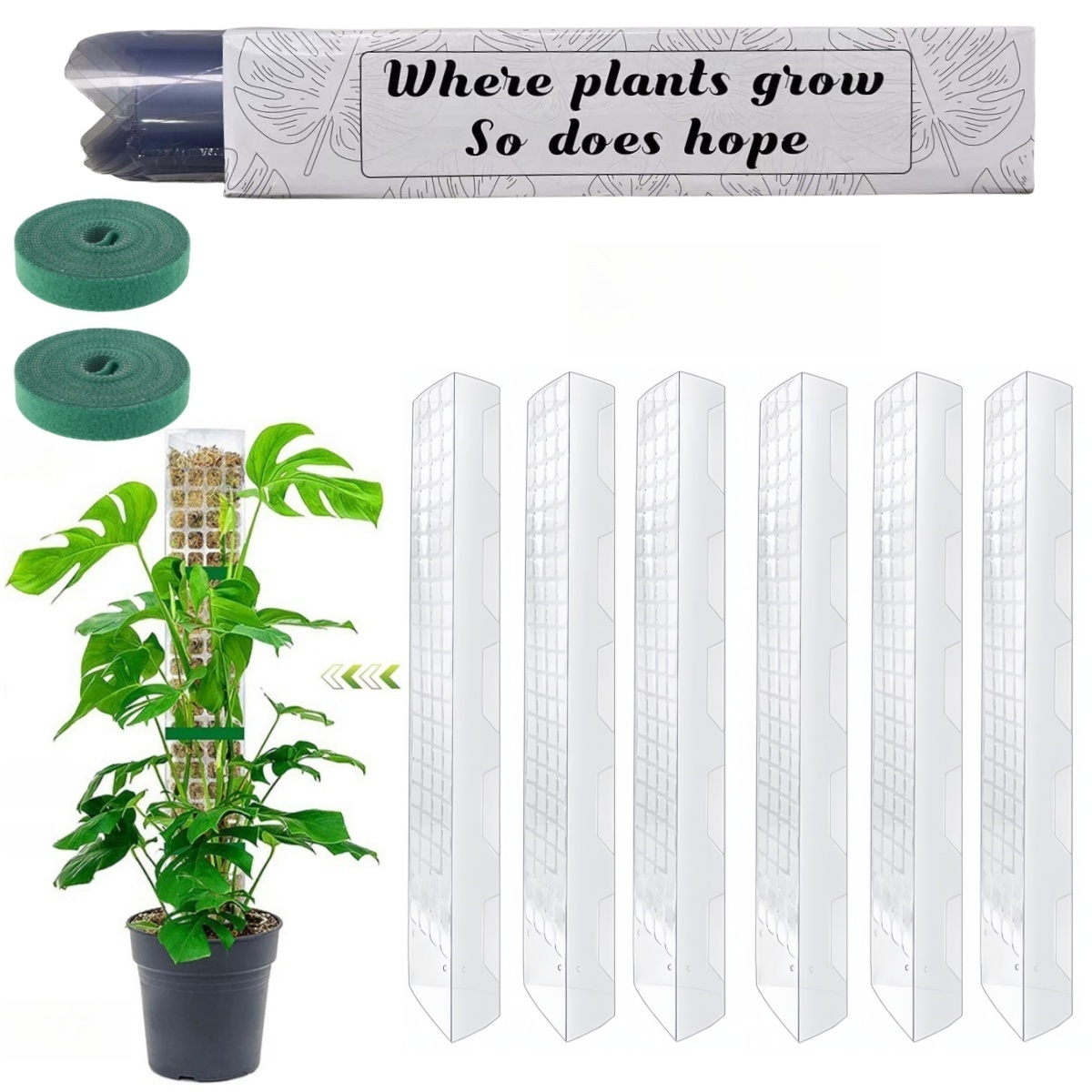 Planter mosestang hageemne blomst planteklatrere bonsai tilbehør potter veiledere, for plantekasser planter vekstholder støtte