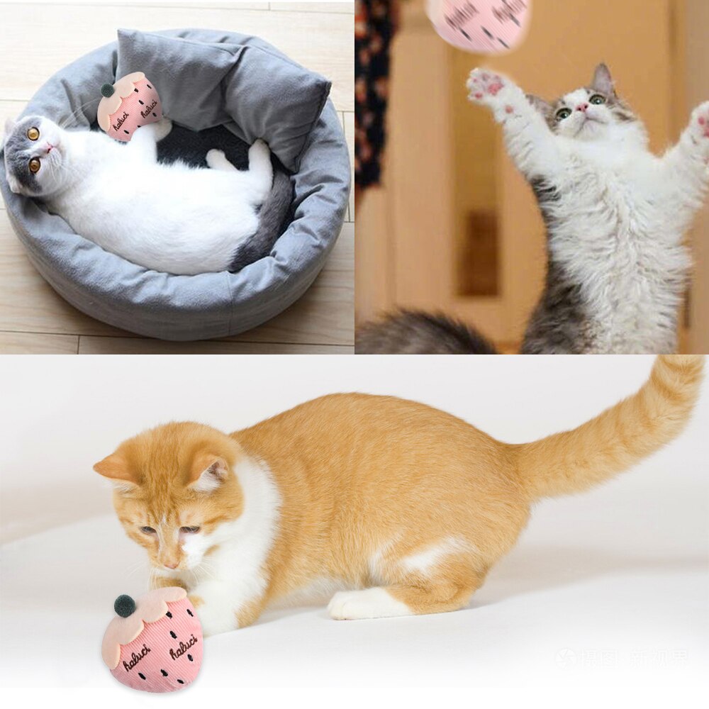 Cat Toy Mini Cat Grinding Catnip Toys Funny Interactive Plush Cat Teeth Toys Pet Kitten Chewing Toy Claws Thumb Bite Pet Supply