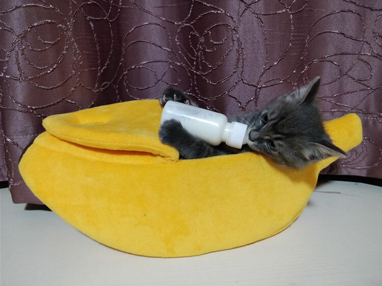 Banan kat seng hus sød banan hvalp pude kennel varm blød kæledyr bet kat forsyninger måtte senge til katte killinger
