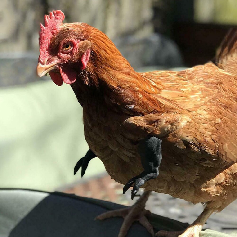 Voorpoot Kostuum Gag Kip Arm Spoof Dierbenodigdheden Thema Party Grappige Rekwisieten Voor Vogel Speelgoed Kunstmatige T-Rex decoratie