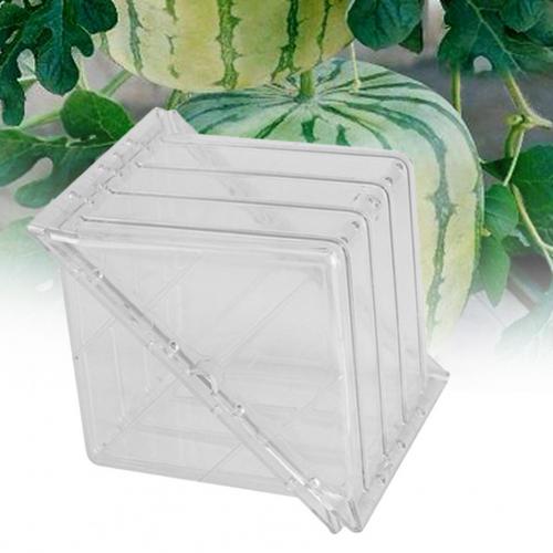 Moule à pastèque carré en plastique en forme de cœur, moule Transparent pour fruits: Love Heart