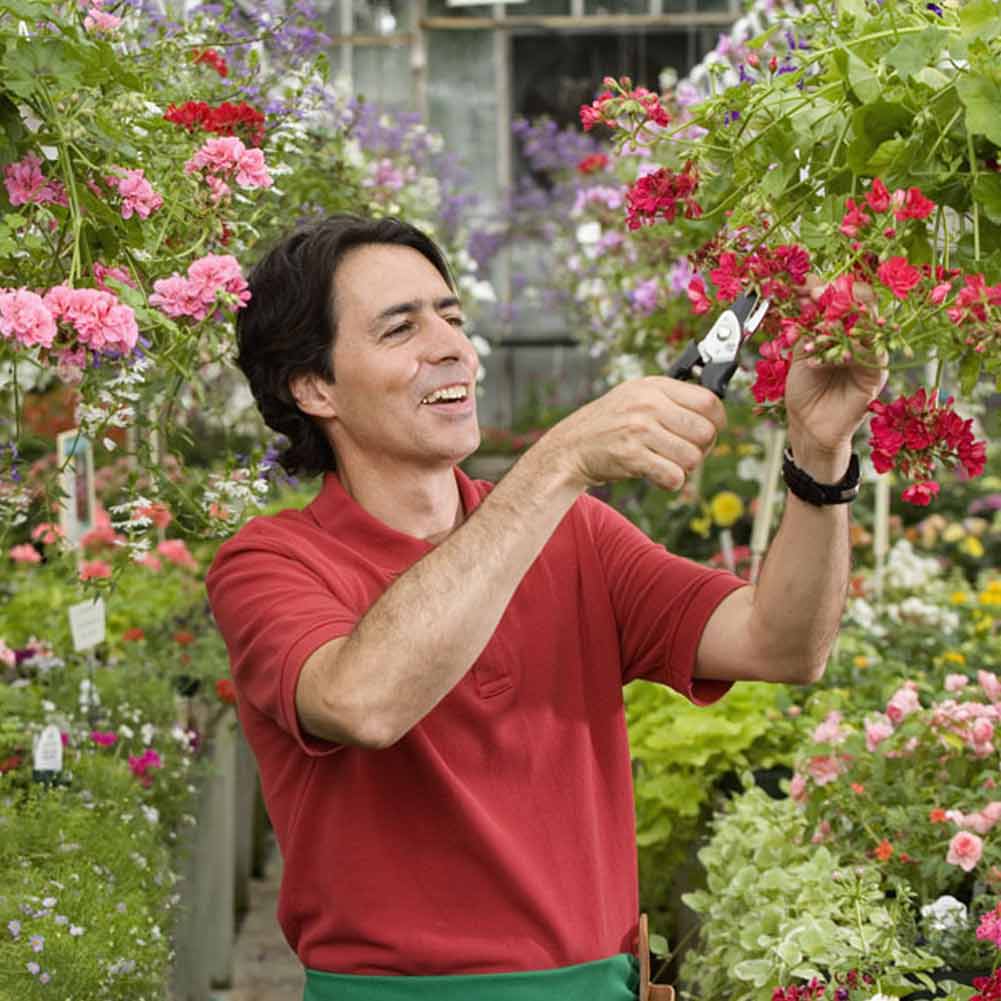 Pruning Shears Sharp Bypass Hand Pruner Shears with Safety Lock Tree Trimmers Secateurs --M25