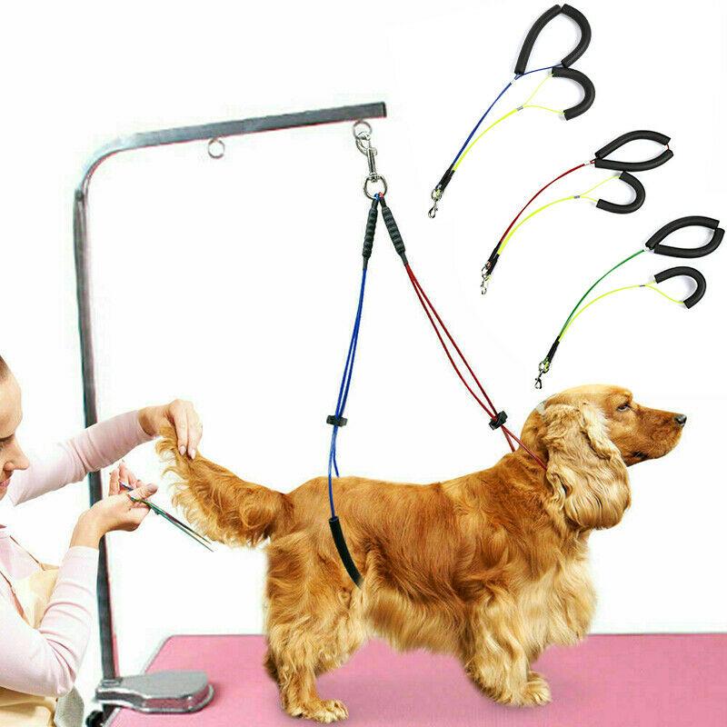 NEUE Hundesalon Schleife sperren Clip Seil Für Körperpflege Tisch Halterung Schlecht Hund Katze Ebene Schlinge nutzbar machen