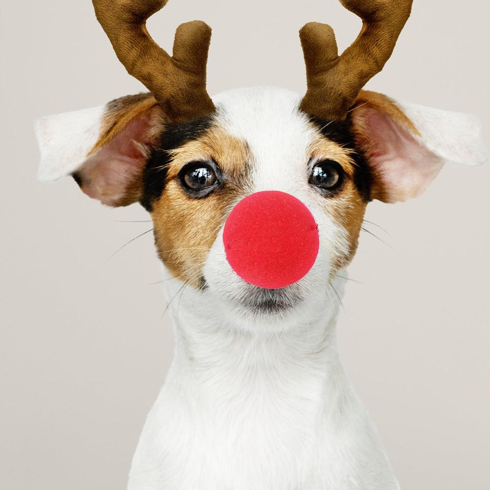 50 st roliga skum clown näsa cirkus clown röd näsa fest jul halloween kostym gunst tillbehör dekorationer festival rekvisita