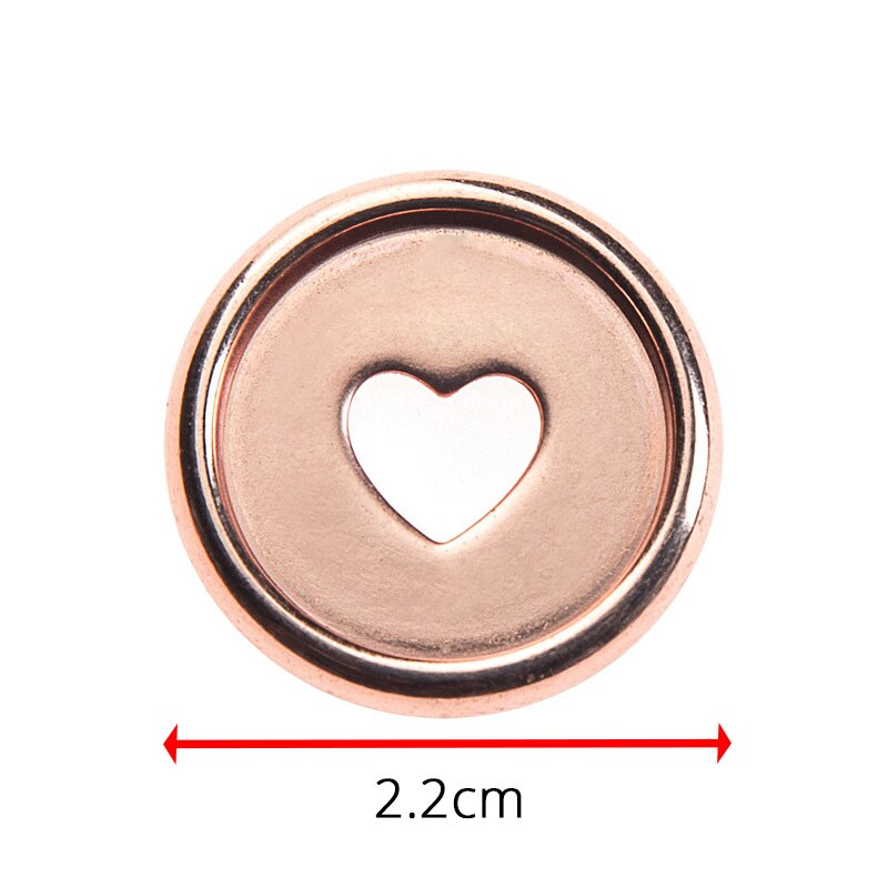 10Pcs Colorful Plastic Disc Binding Ring Loose Leaf T Mushroom Hole Arc Binding Book Rings for DIY Notebook Binder Office Supply: Rose gold 10pcs2.2mm