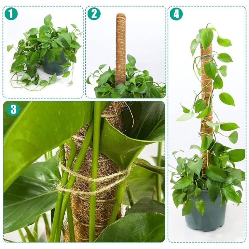 DIY Beeldhouwen Plant Klimpaal Gebogen Kokosnoot Stok Gratis Beeldhouwen Plant Klimpaal Mospaal Tuinbouw Bruine Kolom