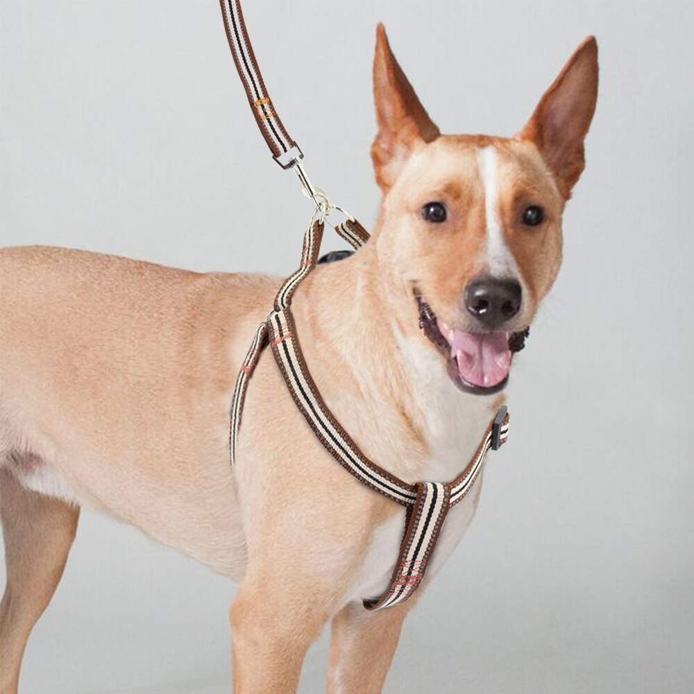 Nylon reflekterende hundesele og snorsæt til mellemstore hunde, der går justerbar kæledyrsele med strakt blybånd