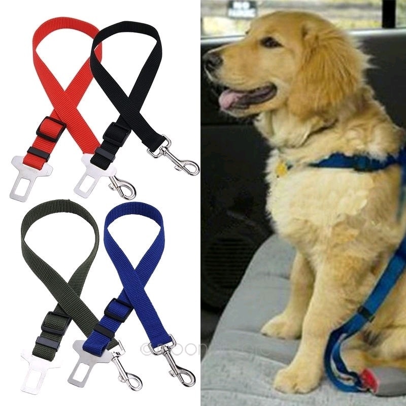 Hond Kat Autogordel Verstelbare Harnas Lead Leash Voor Kleine Medium Kleine Hond 5 Kleur Clip Dierbenodigdheden