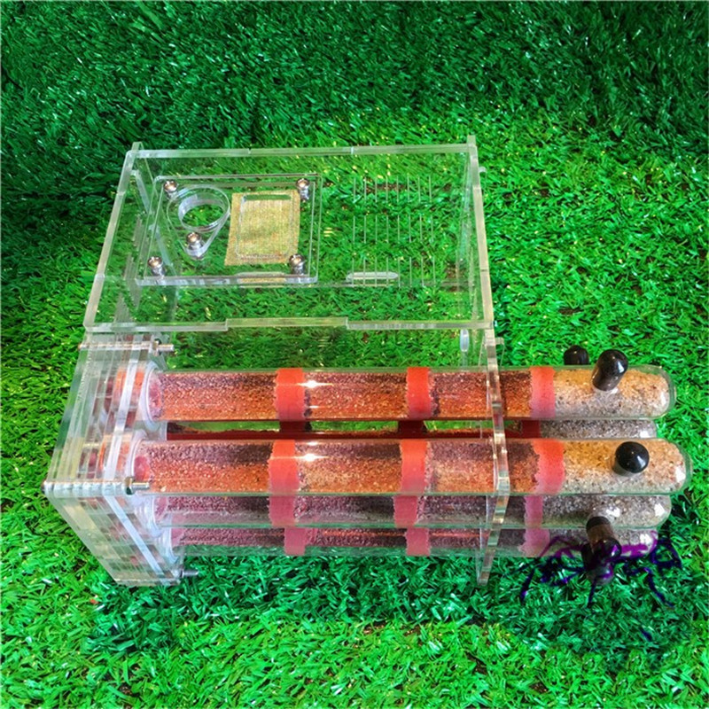 Acrylic Ant Farm with Feeding Area Ant Nest Ants House Factory Insect 6 Test Tubes Pet Anthill
