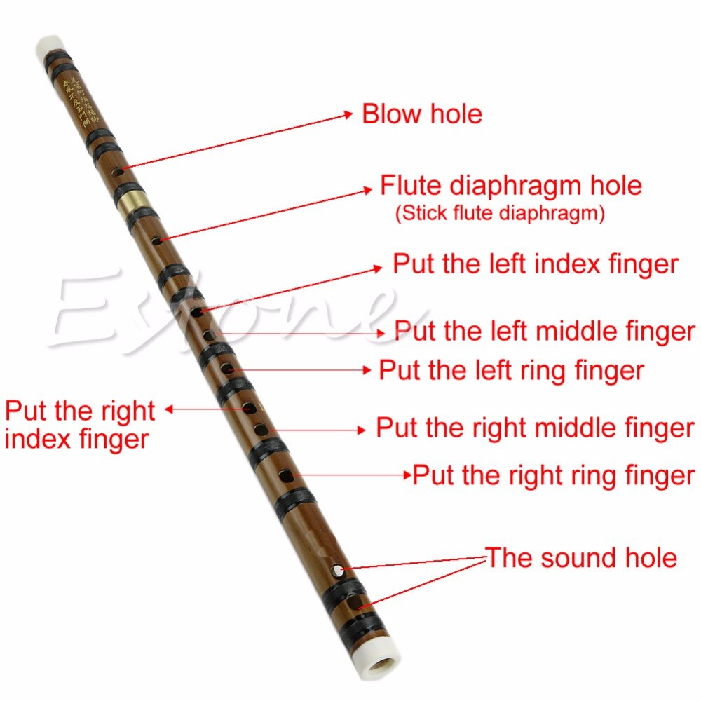 Chinese Traditional Musical Instrument Handmade Bamboo Flute in D Key