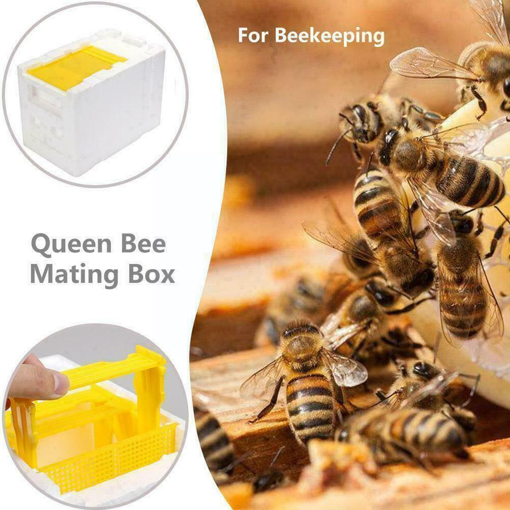 Beekeeping King Box Pollination Box Foam Frames Beekeeping Equipment Kit Harvest Bee Hive Box For Garden Pollinator Beekeep Q2p1