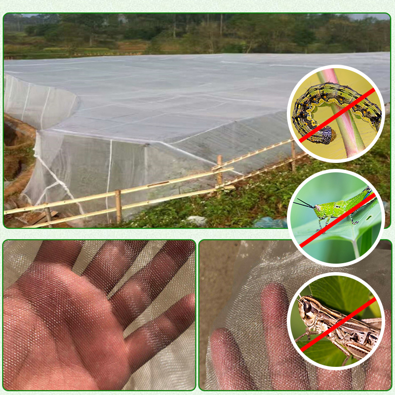 Garten pflanze Insekten schutz netz Gemüse Blume Obst Pflege Abdeckung Netzwerk Gewächshaus Schutz netz Schädlings bekämpfung Anti-Vogel