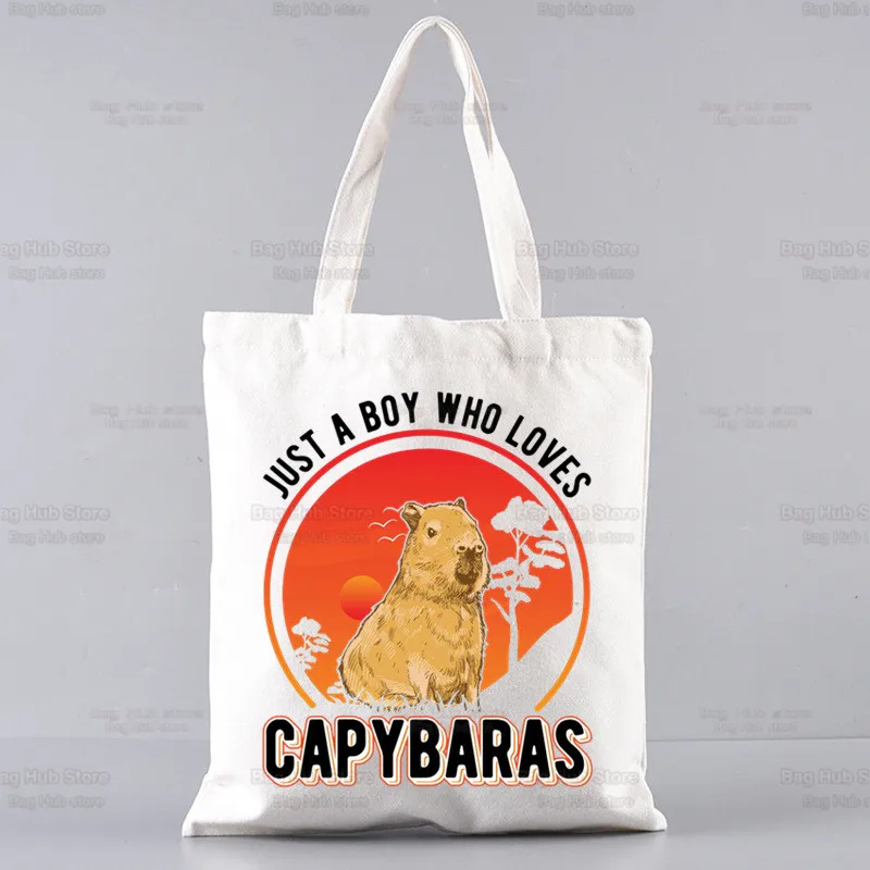 Capybaras Draagtas Unisex Canvas Tassen Gewoon Een Meisje Dat Houdt Van Capybaras Boodschappentassen Bedrukt Casual Schoudertas Opvouwbaar: Beige