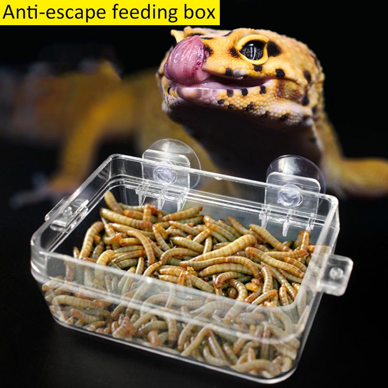 Akryl reptil matningslåda anti escape box matar skål för reptil orm pytonslang spindel ödla skorpion insekter observationslåda