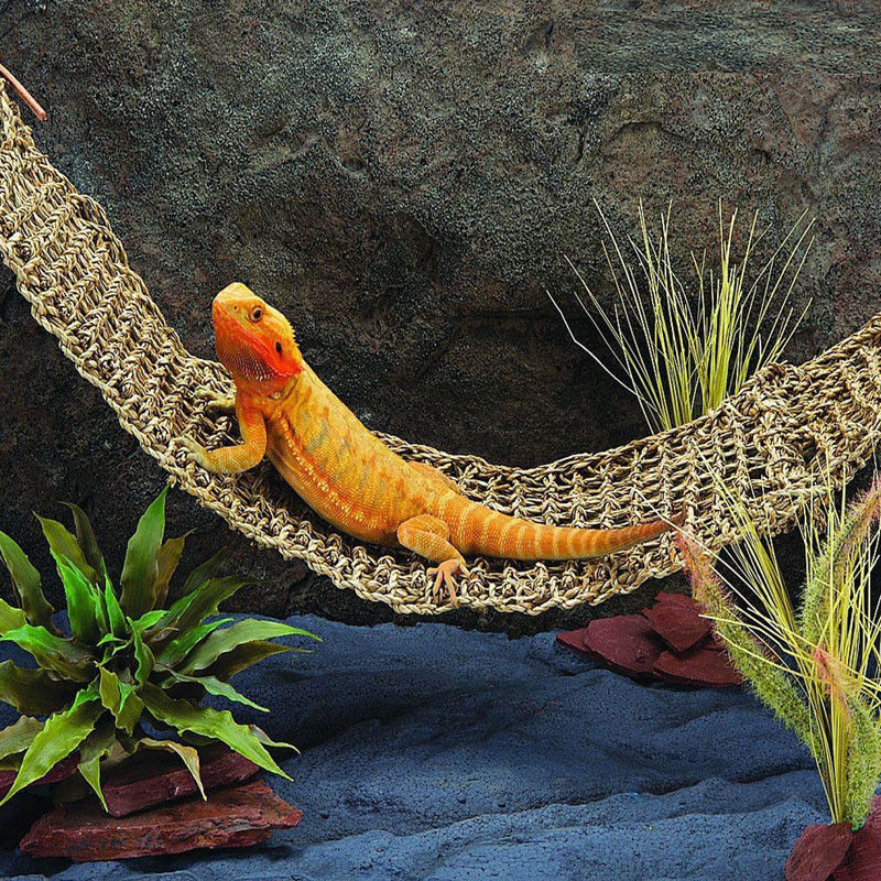 Plataforma de reptil hamaca lagartija tumbona hamacas geccos colgante red tanque Decoración