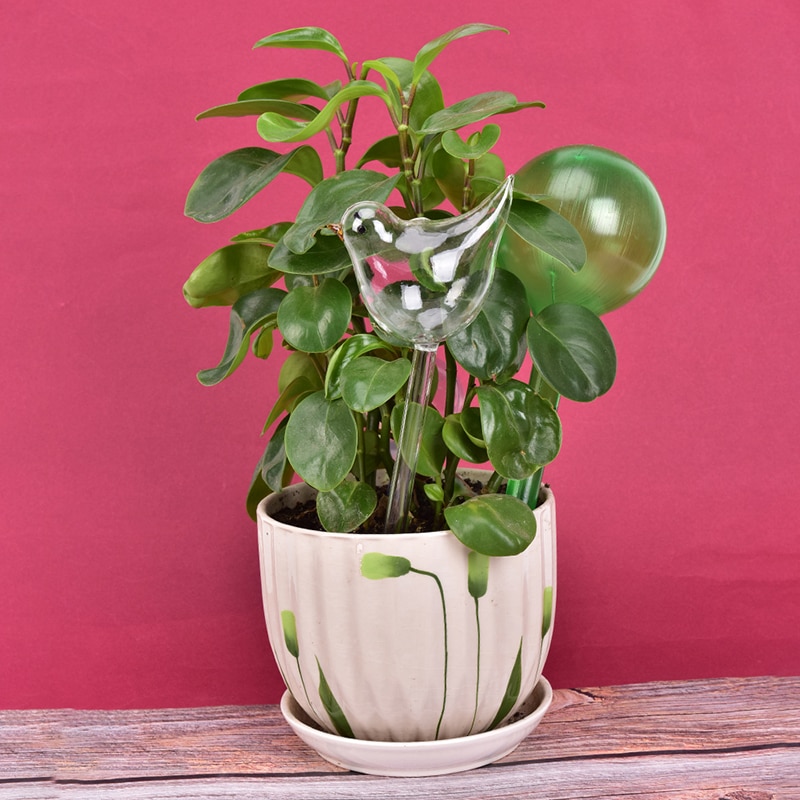 1 stk plante selvvandende klode planter vandløg fugleform klart glasvandingsapparat